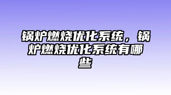 鍋爐燃燒優化系統，鍋爐燃燒優化系統有哪些