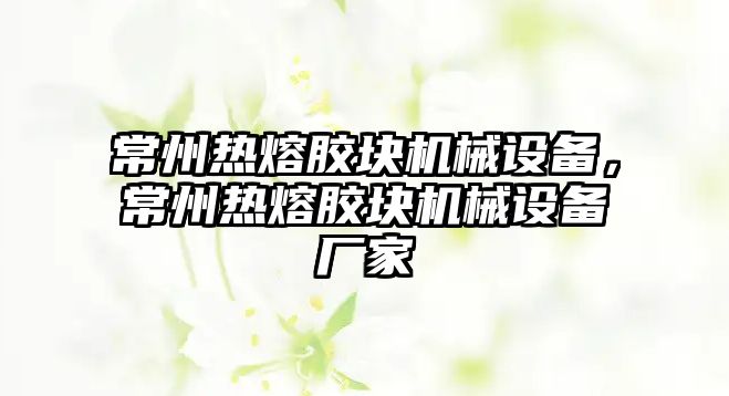 常州熱熔膠塊機械設備，常州熱熔膠塊機械設備廠家