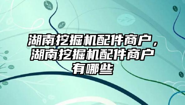 湖南挖掘機配件商戶，湖南挖掘機配件商戶有哪些