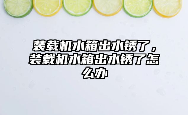 裝載機水箱出水銹了，裝載機水箱出水銹了怎么辦