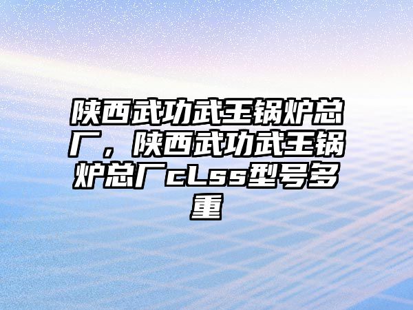 陜西武功武王鍋爐總廠，陜西武功武王鍋爐總廠cLss型號多重