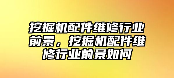 挖掘機(jī)配件維修行業(yè)前景，挖掘機(jī)配件維修行業(yè)前景如何