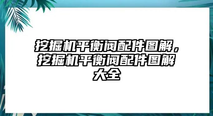 挖掘機(jī)平衡閥配件圖解，挖掘機(jī)平衡閥配件圖解大全