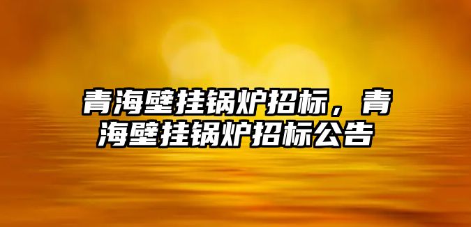 青海壁掛鍋爐招標，青海壁掛鍋爐招標公告