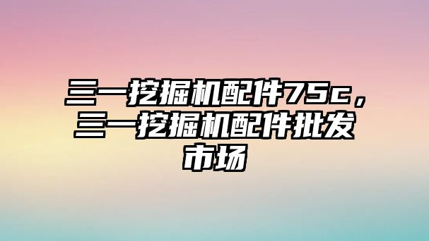 三一挖掘機配件75c，三一挖掘機配件批發市場