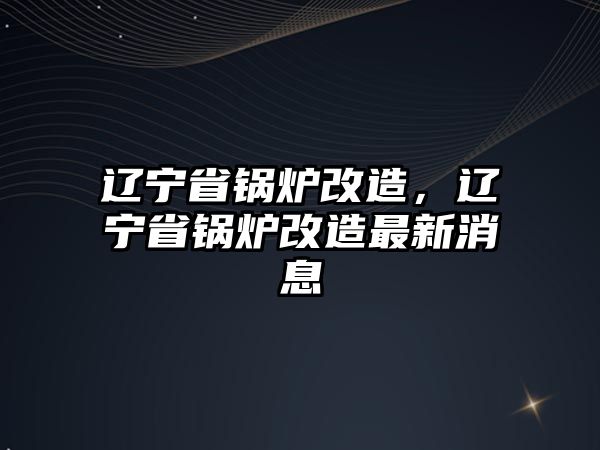 遼寧省鍋爐改造，遼寧省鍋爐改造最新消息