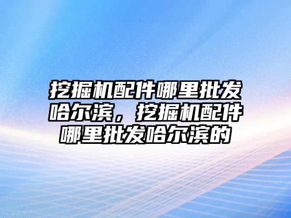 挖掘機配件哪里批發哈爾濱，挖掘機配件哪里批發哈爾濱的