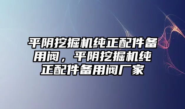 平陰挖掘機純正配件備用閥，平陰挖掘機純正配件備用閥廠家