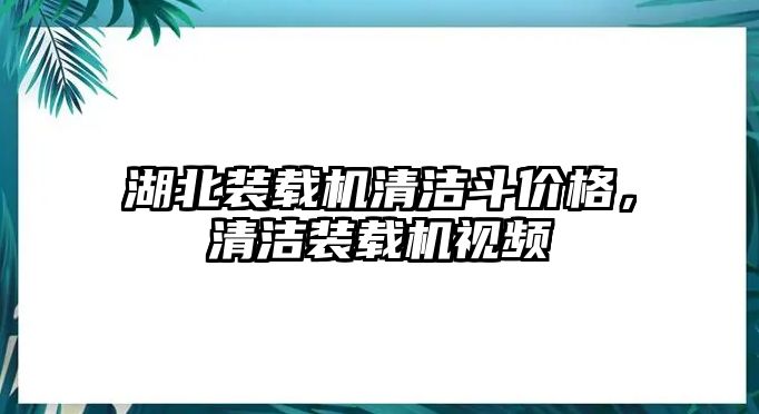 湖北裝載機清潔斗價格，清潔裝載機視頻