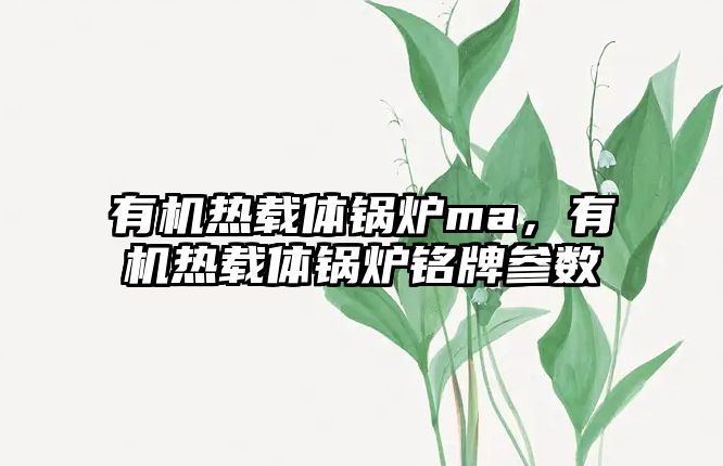 有機熱載體鍋爐ma，有機熱載體鍋爐銘牌參數