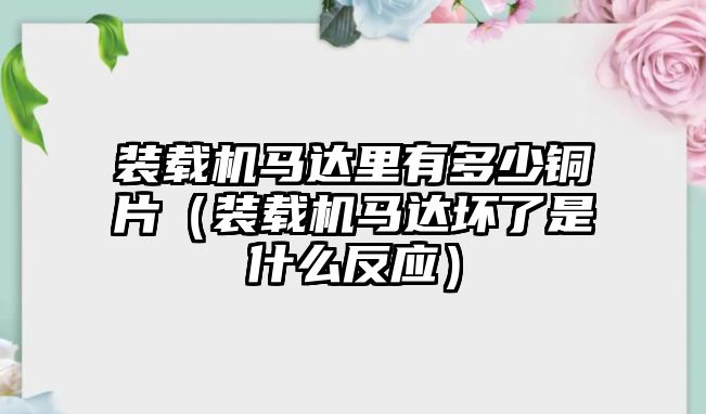 裝載機(jī)馬達(dá)里有多少銅片（裝載機(jī)馬達(dá)壞了是什么反應(yīng)）