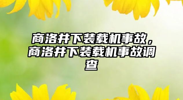 商洛井下裝載機事故，商洛井下裝載機事故調查