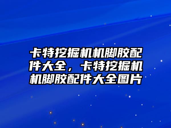 卡特挖掘機機腳膠配件大全，卡特挖掘機機腳膠配件大全圖片