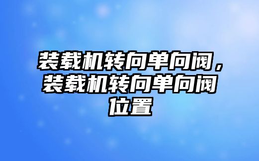 裝載機轉(zhuǎn)向單向閥，裝載機轉(zhuǎn)向單向閥位置