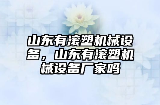 山東有滾塑機(jī)械設(shè)備，山東有滾塑機(jī)械設(shè)備廠家嗎