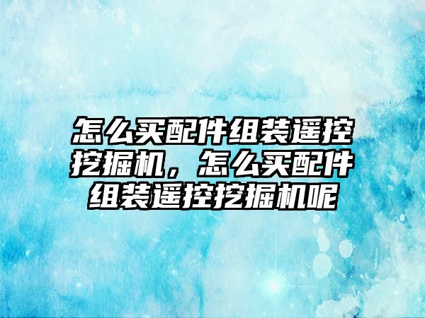 怎么買配件組裝遙控挖掘機，怎么買配件組裝遙控挖掘機呢