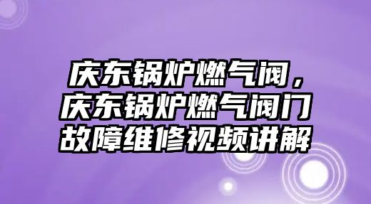 慶東鍋爐燃氣閥，慶東鍋爐燃氣閥門故障維修視頻講解