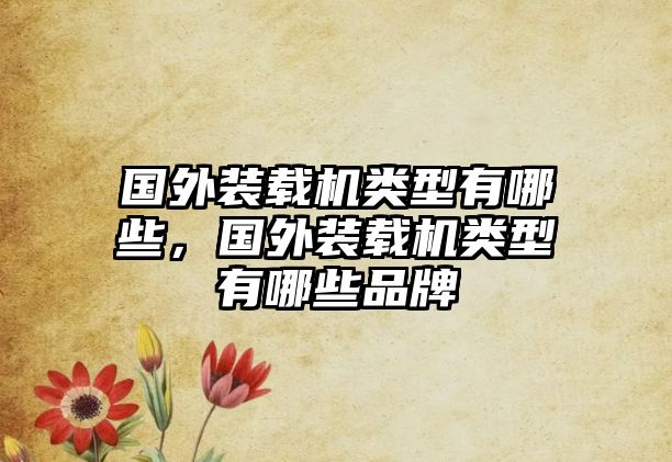 國(guó)外裝載機(jī)類(lèi)型有哪些，國(guó)外裝載機(jī)類(lèi)型有哪些品牌