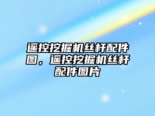 遙控挖掘機絲桿配件圖，遙控挖掘機絲桿配件圖片