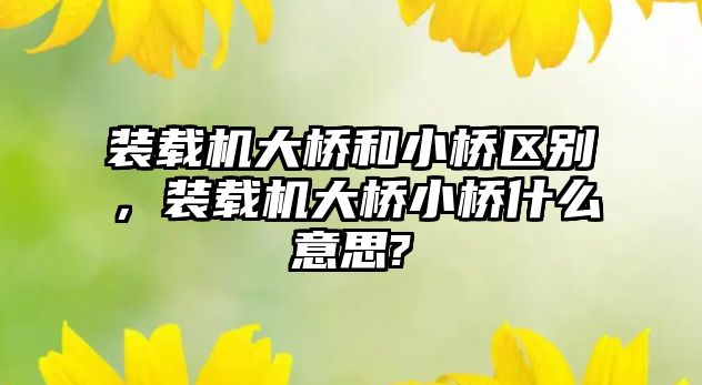 裝載機大橋和小橋區別，裝載機大橋小橋什么意思?