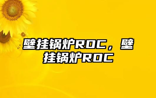 壁掛鍋爐ROC，壁掛鍋爐ROC