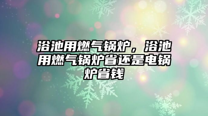 浴池用燃氣鍋爐，浴池用燃氣鍋爐省還是電鍋爐省錢