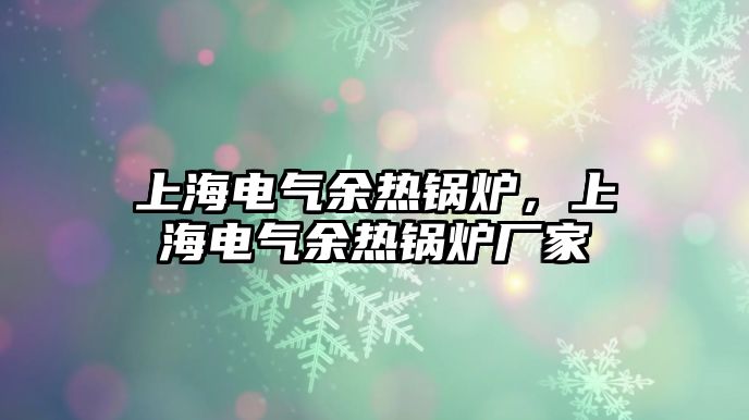 上海電氣余熱鍋爐，上海電氣余熱鍋爐廠家