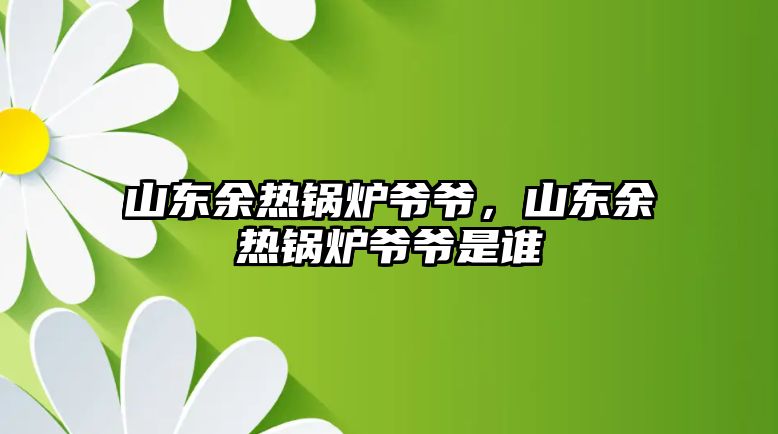 山東余熱鍋爐爺爺，山東余熱鍋爐爺爺是誰