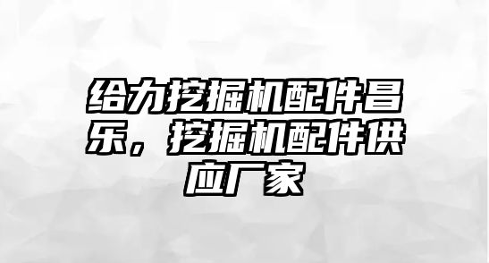 給力挖掘機配件昌樂，挖掘機配件供應廠家