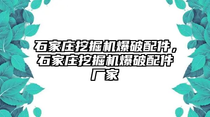 石家莊挖掘機爆破配件，石家莊挖掘機爆破配件廠家