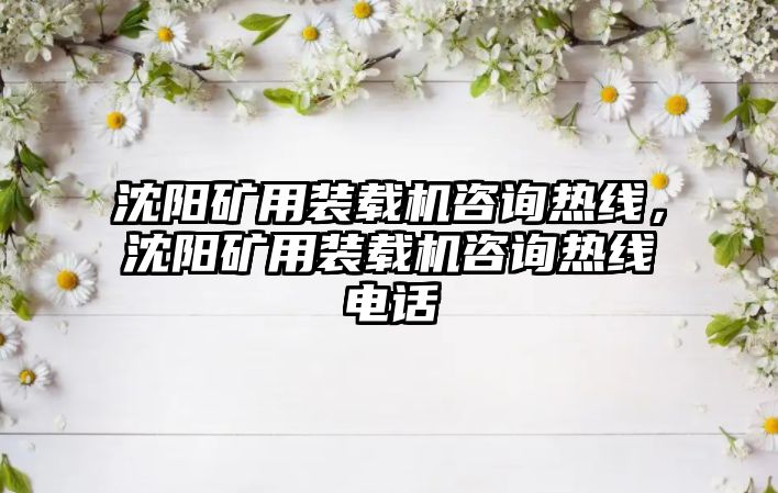 沈陽礦用裝載機咨詢熱線，沈陽礦用裝載機咨詢熱線電話