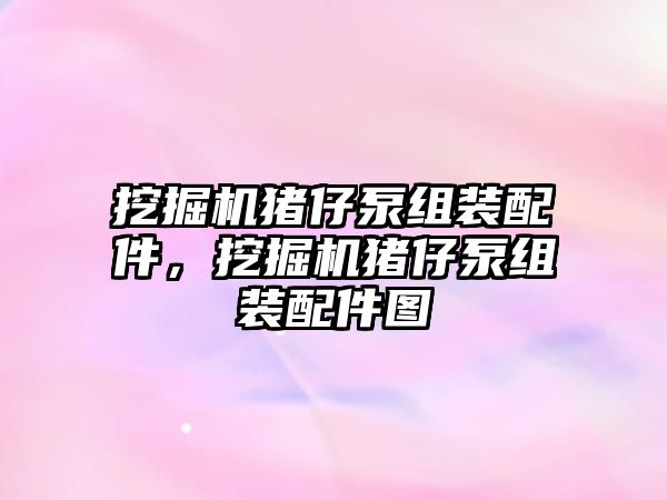 挖掘機豬仔泵組裝配件，挖掘機豬仔泵組裝配件圖