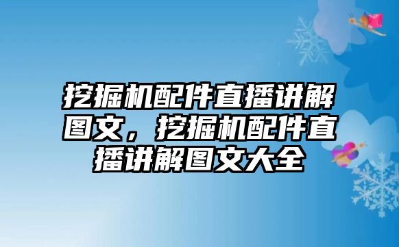 挖掘機(jī)配件直播講解圖文，挖掘機(jī)配件直播講解圖文大全