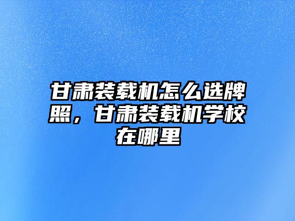 甘肅裝載機怎么選牌照，甘肅裝載機學校在哪里