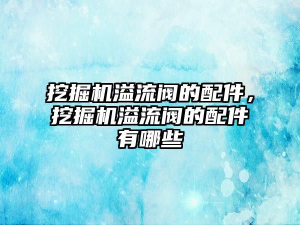 挖掘機溢流閥的配件，挖掘機溢流閥的配件有哪些