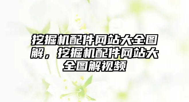 挖掘機配件網站大全圖解，挖掘機配件網站大全圖解視頻