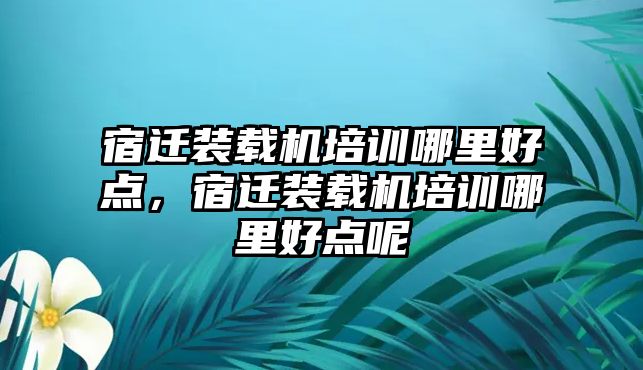 宿遷裝載機培訓哪里好點，宿遷裝載機培訓哪里好點呢