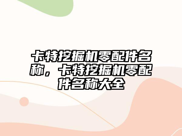 卡特挖掘機零配件名稱，卡特挖掘機零配件名稱大全