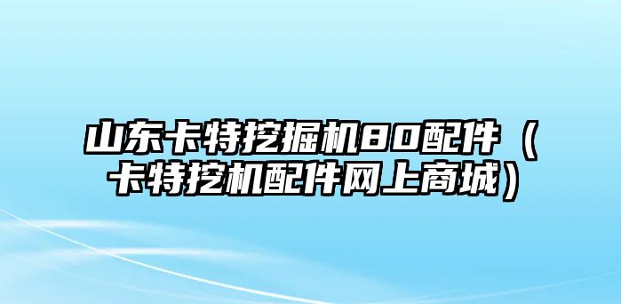 山東卡特挖掘機80配件（卡特挖機配件網上商城）