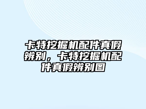 卡特挖掘機配件真假辨別，卡特挖掘機配件真假辨別圖