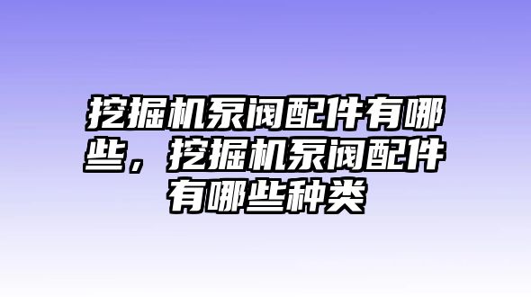 挖掘機泵閥配件有哪些，挖掘機泵閥配件有哪些種類