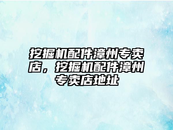 挖掘機配件漳州專賣店，挖掘機配件漳州專賣店地址