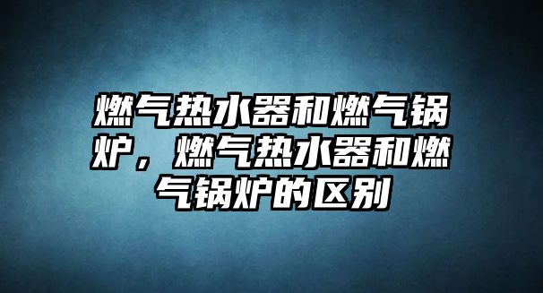 燃氣熱水器和燃氣鍋爐，燃氣熱水器和燃氣鍋爐的區別