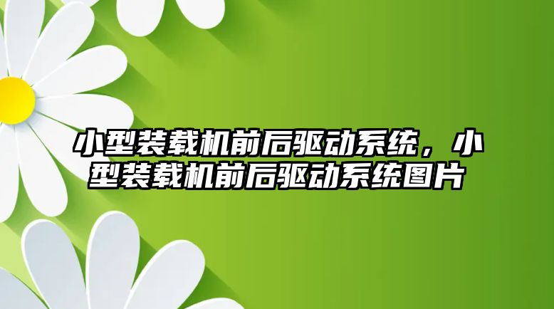 小型裝載機前后驅動系統，小型裝載機前后驅動系統圖片