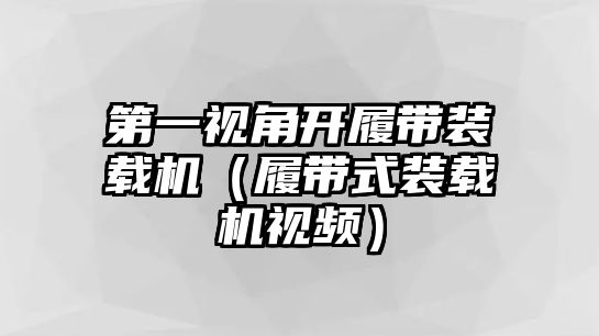 第一視角開履帶裝載機（履帶式裝載機視頻）