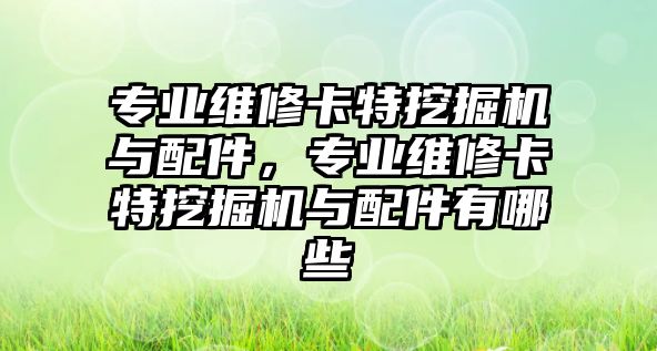 專業(yè)維修卡特挖掘機與配件，專業(yè)維修卡特挖掘機與配件有哪些