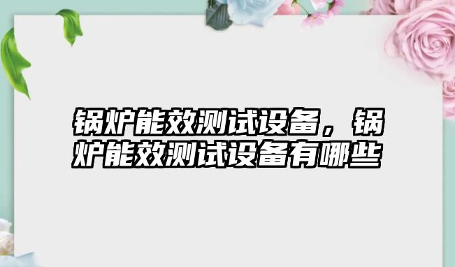 鍋爐能效測試設備，鍋爐能效測試設備有哪些