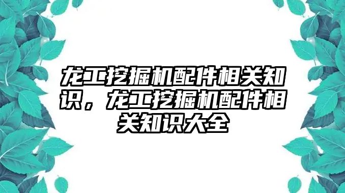 龍工挖掘機配件相關知識，龍工挖掘機配件相關知識大全