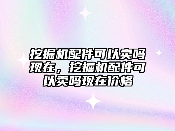 挖掘機配件可以賣嗎現在，挖掘機配件可以賣嗎現在價格