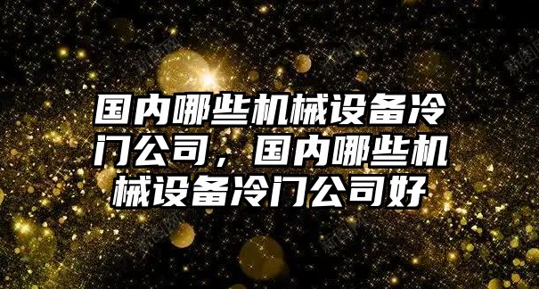 國內(nèi)哪些機(jī)械設(shè)備冷門公司，國內(nèi)哪些機(jī)械設(shè)備冷門公司好